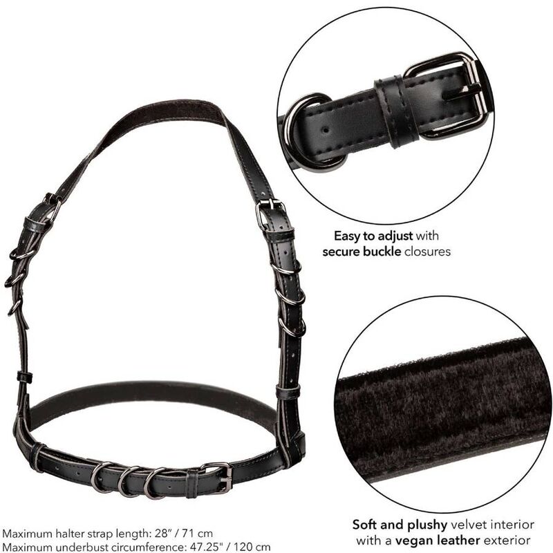 Ham Halter, CalExotics - Euphoria Plus Size, Catarama Ajustabila, Marime Plus / Negru