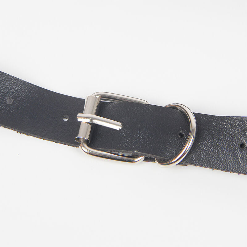 Harness cu Jartiere, Subblime, cu Inele, One Size / Negru