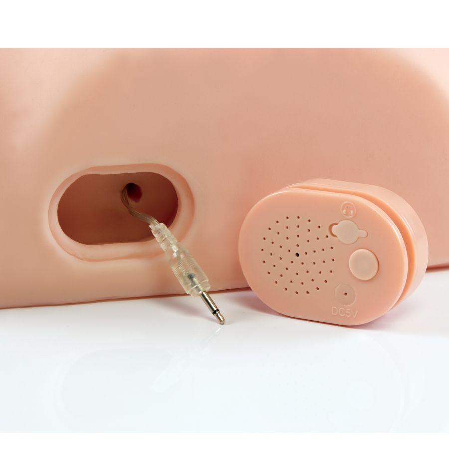 Papusa Interactiva, PDX Male - Fuck Him Silly, Difuzor Incorporat